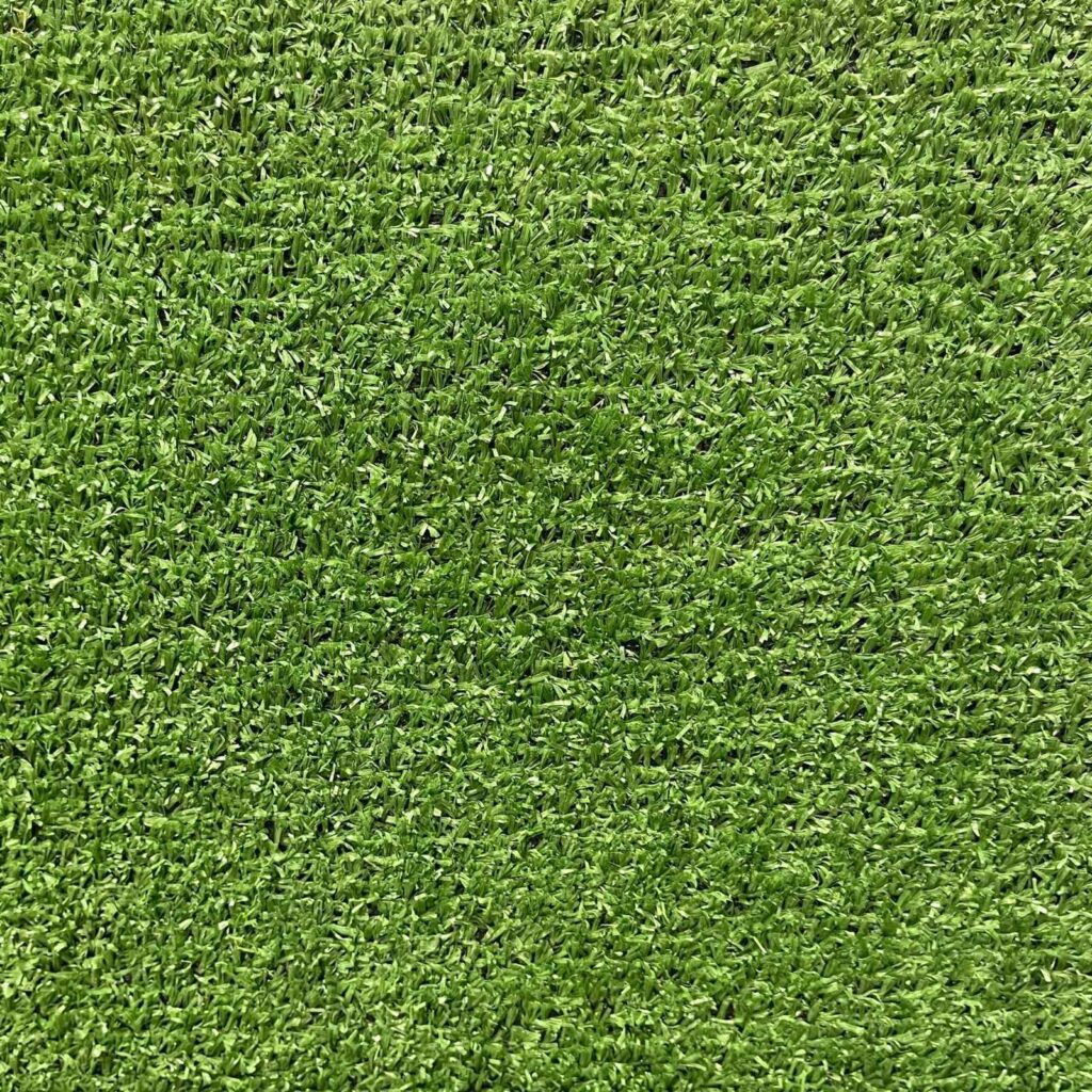 10 mm Carpet Grass