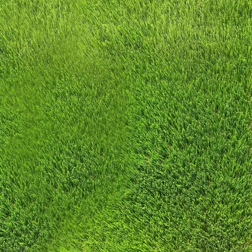 Artificial Grass Carpet